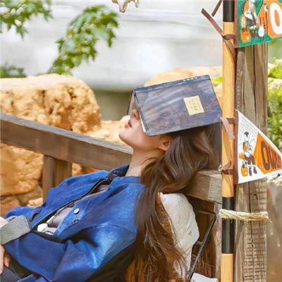 星河战队：火星叛国者