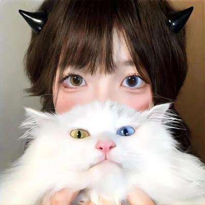 反收数特遣队国语